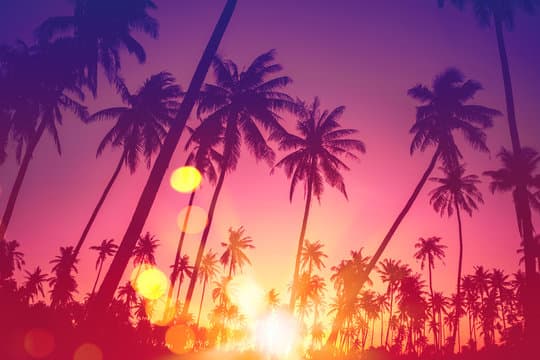 [Brickell] Singles Happy Hour @ Miami Rooftop 